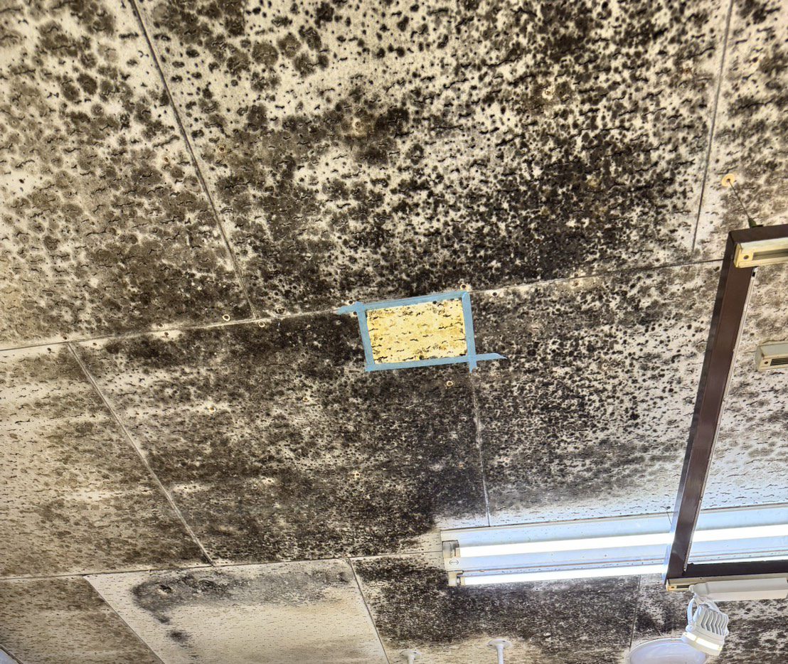 天井の一部をテープで区切り、カビ除去剤を試験塗布した様子